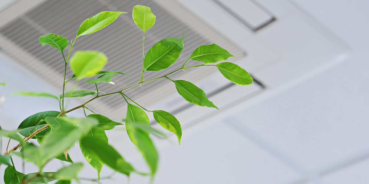 ceiling vent in background with plant in foreground